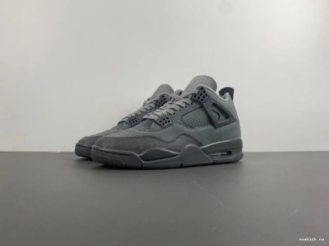 Chep Onekick Jordan 4 Olympics SE Air Paris 0704